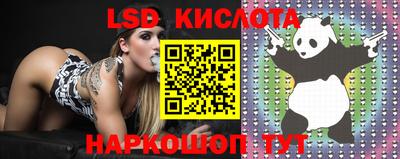 МДМА Новодвинск