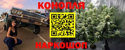 СК Новокубанск