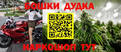 СК Новокубанск