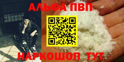СК Новокубанск
