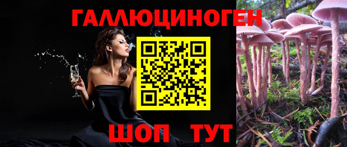 Псилоцибиновые грибы Psilocybe  хочу наркоту  Вход с VPN  Топки  Галлюциногенные грибы мухоморы 