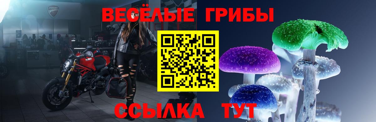 Псилоцибиновые грибы мицелий Топки